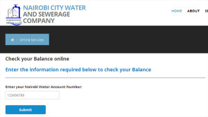 Nairobi Water Bill Inquiry