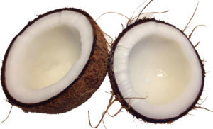 Coconuts increase sperm count