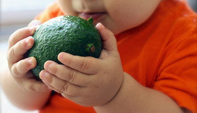 Avocados are good for babies