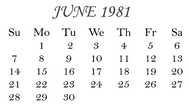 2024-1981: If I Was Born In 1981 How Old Am I?
